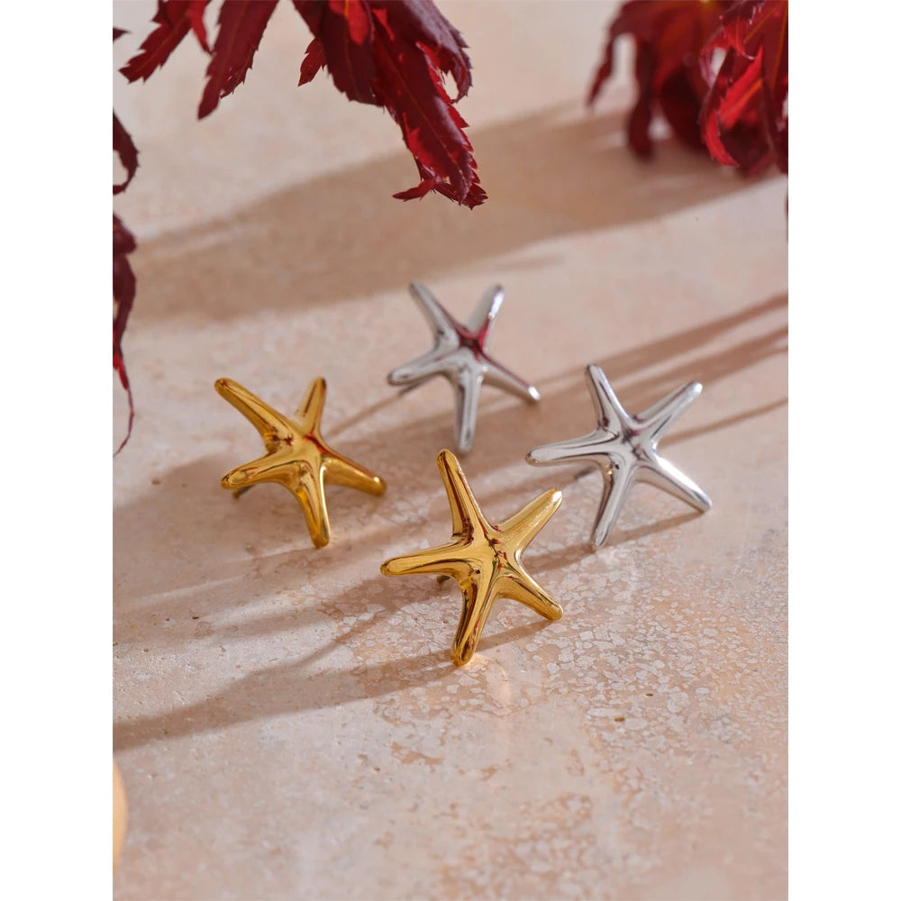 Brinco Splendida Banhado em Ouro 18K